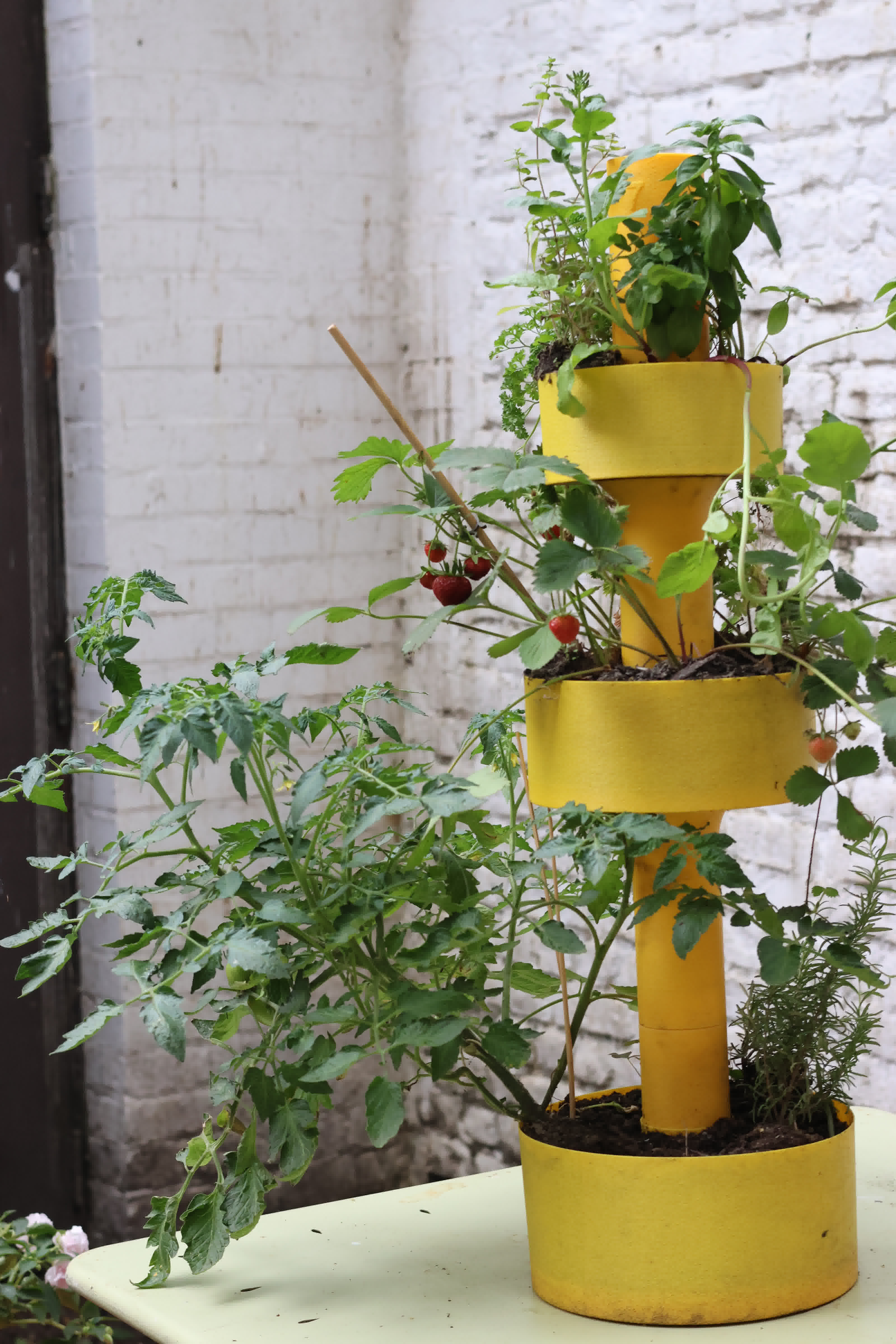Yellow self-watering planter